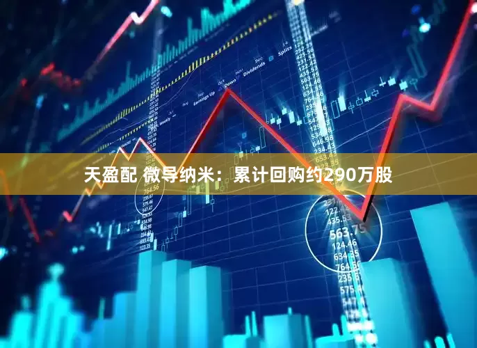 天盈配 微导纳米：累计回购约290万股